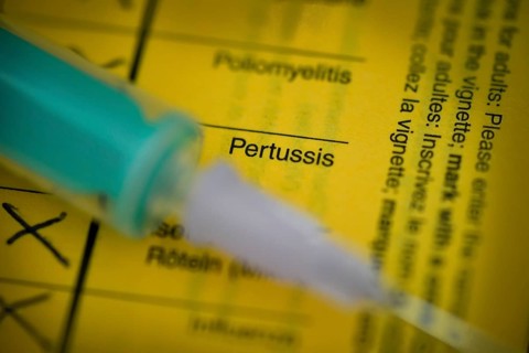 Pertussis