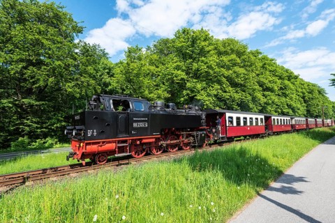 Steam railway