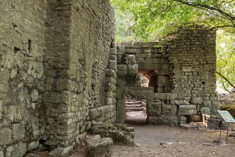 Lion's Gate