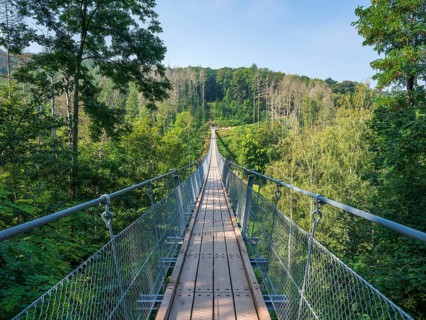 Suspension bridge over the Baerental