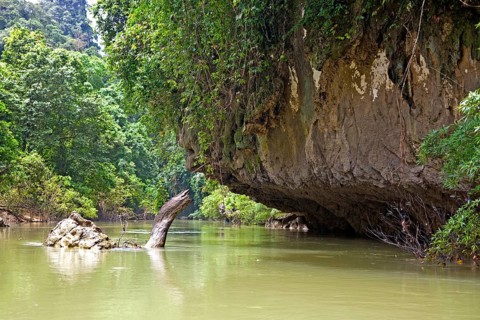 Khao Sok National Park/ Khao Sok National Park
