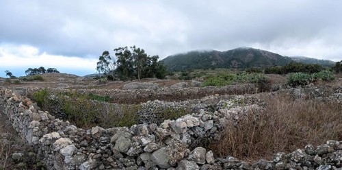 Typical landscape with pastures and stone walls