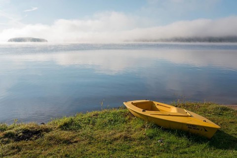 Boat on the shore