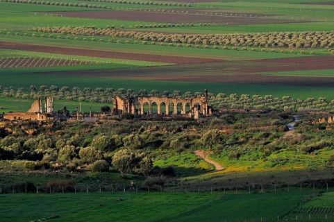 Volubilis Ruins