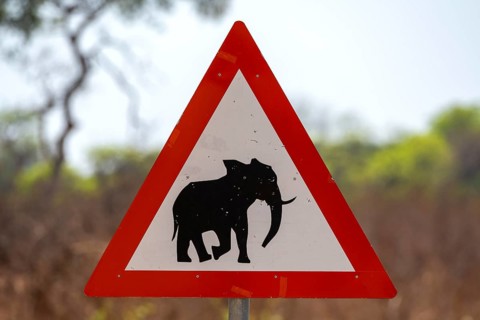 Road sign with elephant
