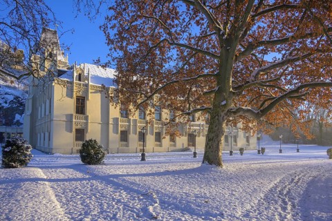 Winter Castle