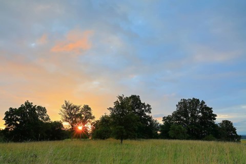 Sunrise over the NSG Kreuzbuehl