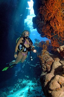 Scuba diver in bikini looking at illuminated black bushy black coral