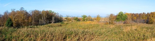 Panorama floating bog