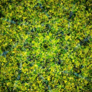 Autumn mosaic