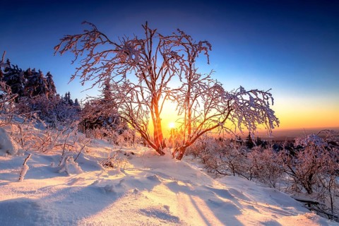 View at sunset from the slate rock Grossen Feldberg in Taunus