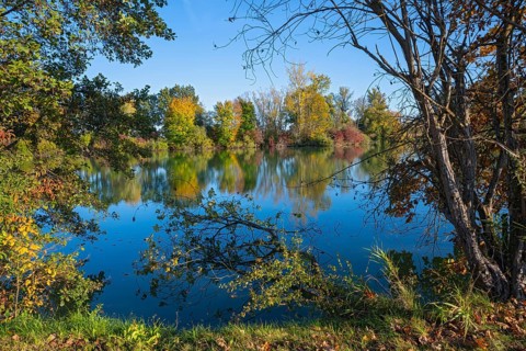 Fish pond on the river Lafnitz in autumn