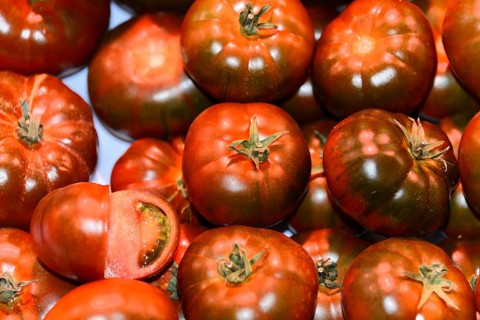 Tomatoes