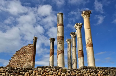 Columns of the ancient ruins of Volubilis