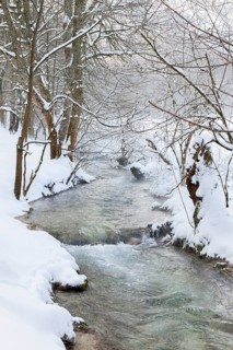 Watercourse Bruehlbach
