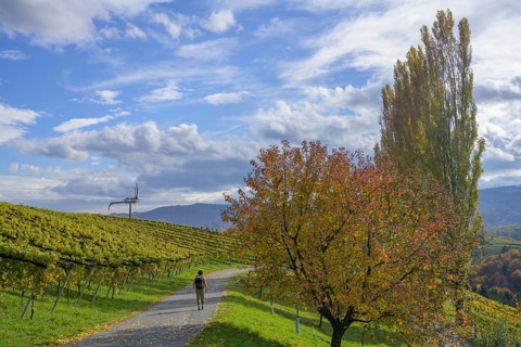 Hiker walking on side road towards Klapotetz