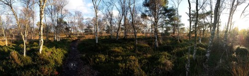 Panorama Mohlberger Dose