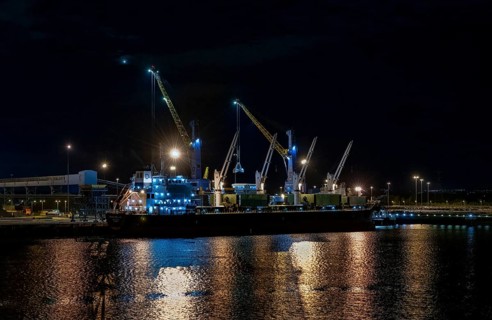 Bulk carrier DENSA SEA LION in the Port of Tyne
