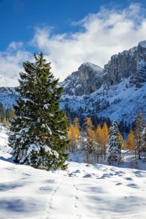 Mountain landscape in late autumn with snow