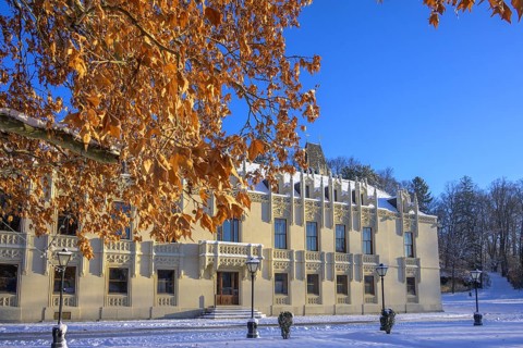 Beech leaves and wintry castle