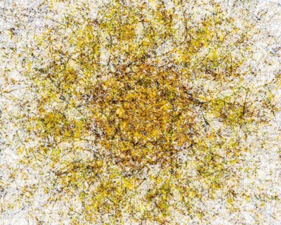 Autumn mosaic