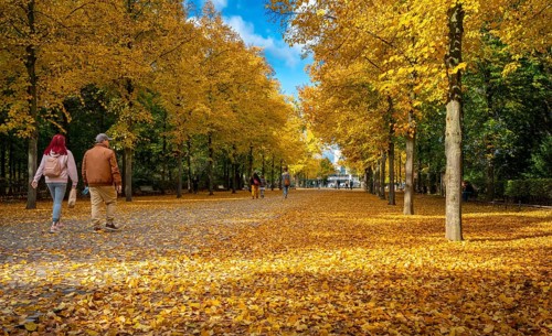 Strollers and autumnal impressions in a Berlin park