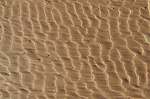 Wavy formation on clay soil on the river bank after flooding