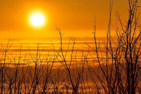 Sunset behind bare bushes on a peak