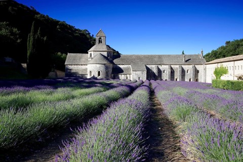 Cistercian abbey Abbaye Notre-Dame de Senanque