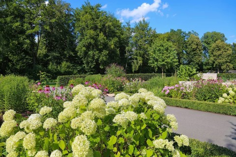 Garden of Eden