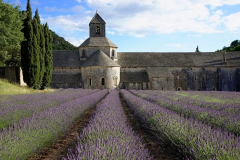 Cistercian abbey Abbaye Notre-Dame de Senanque