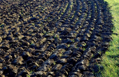 Tilled