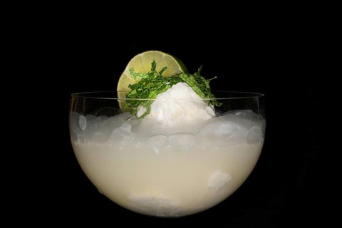 Lemon coconut sorbet with champagne and fresh mint in a glass