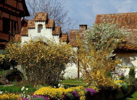Half-timbered house and old castle wall