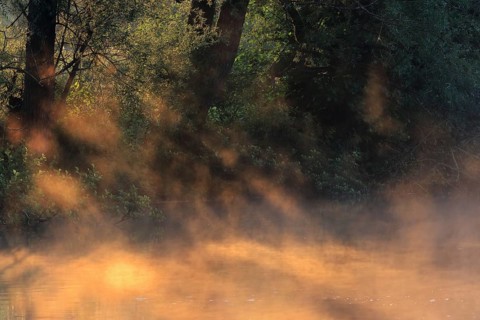 Sun shining through fog
