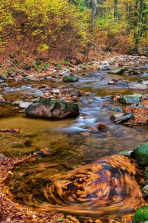 Autumnal Ilse Valley in the Harz Mountains