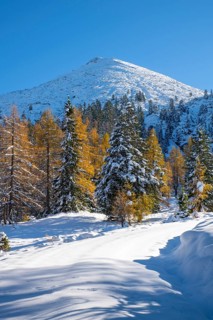 Forest path to Kotalm Mittelleger in snow in late autumn