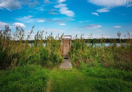 Door in the reeds on the Tegeler Fliess in Luebars
