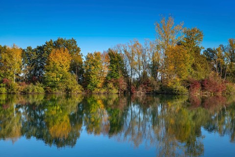Fish pond on the river Lafnitz in autumn