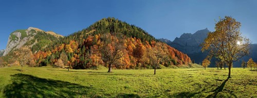 Grosser Ahornboden Panorama with autumnal colourful maple trees in low sun below the Spritzkar and Baerenkopf Karwendel peaks