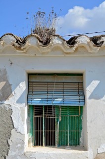Simple barred window and weeds proliferates house roof