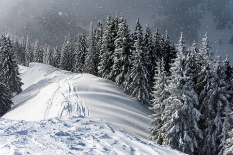 Snow-covered mountain landscape with trees in winter during snowfall