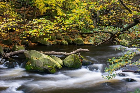 River Bode in the autumnal Harz Mountains