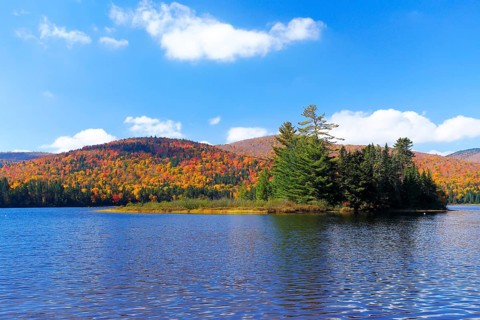 Autumn colours