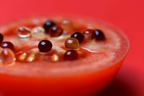Aceto pearls on tomato