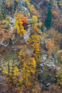 First snow on the autumnal slopes of the Bode Valley in the Harz Mountains