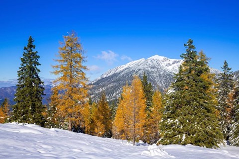 Mountain landscape in late autumn with snow