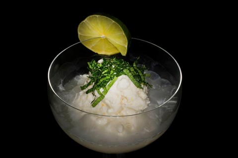 Lemon coconut sorbet with champagne and fresh mint in a glass