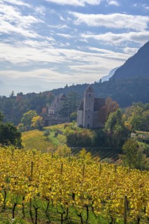 Autumn vineyards and chapel at Englar Castle