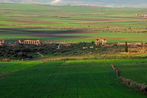 Roman ancient ruins Volubilis surrounded by green fields